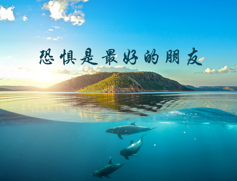 周文强财商智慧《恐惧是最好的朋友》